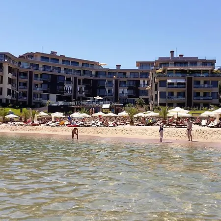 Gitea Sand Lilies Sozopol