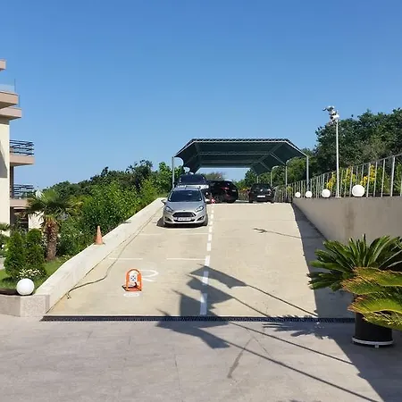 Gitea Sand Lilies Sozopol