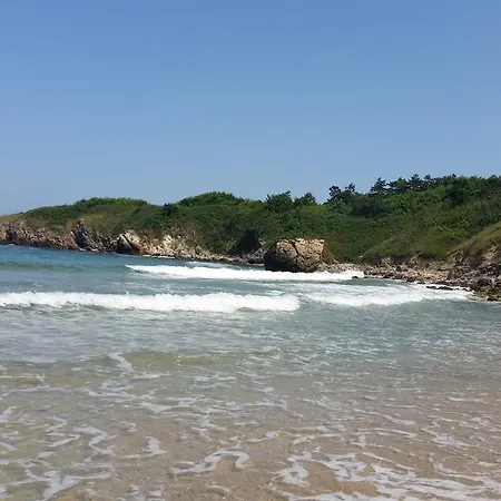 Gitea Lilies Созопол